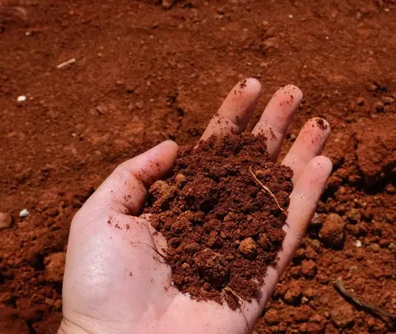 Handful of fill dirt for grading and backfill
